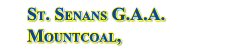 St. Senan's